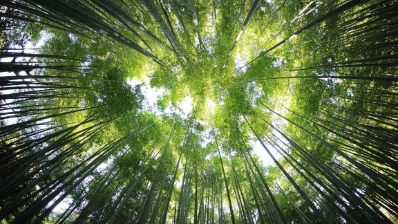 揭秘:输入车架号能查到车牌信息的真相!